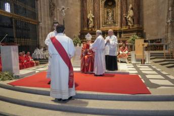 Fotogalería Ordenación Nuevo Sacerdote Diócesis de Segovia. Alberto Janusz 40 Ordenación Sacerdote Alberto Janusz