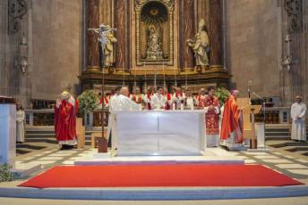 Fotogalería Ordenación Nuevo Sacerdote Diócesis de Segovia. Alberto Janusz 8 Ordenación Sacerdote Alberto Janusz