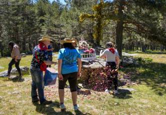 Fotogaleria Romería Virgen de Las Nieves en Navafría 61 Romería Virgen de las Nieves en Navafría
