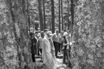 Fotogaleria Romería Virgen de Las Nieves en Navafría 56 Romería Virgen de las Nieves en Navafría