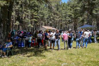 Fotogaleria Romería Virgen de Las Nieves en Navafría 52 Romería Virgen de las Nieves en Navafría
