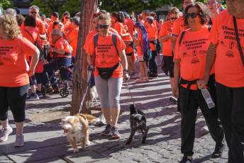 Fotogalería VI Marcha Popular Parkinson Segovia 17 VI Marcha Contra el Parkinson