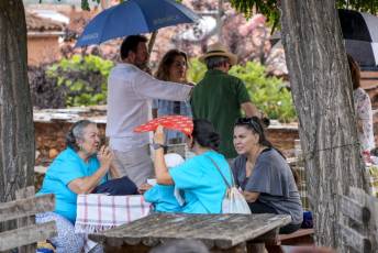 Fotogalería Fiestas de San Pantaleón en Madriguera 11 Fiestas San Pantaleón en Madriguera