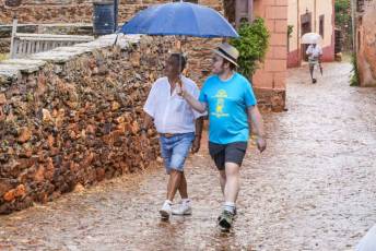 Fotogalería Fiestas de San Pantaleón en Madriguera 25 Fiestas San Pantaleón en Madriguera