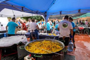Fotogalería Fiestas de San Pantaleón en Madriguera 19 Fiestas San Pantaleón en Madriguera
