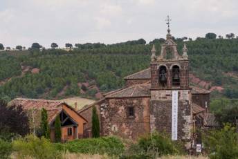 Fotogalería Fiestas de San Pantaleón en Madriguera 17 Fiestas San Pantaleón en Madriguera