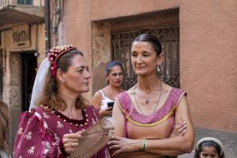 Fotogalería Feria Medieval en Ayllón 101 Mercado Medieval en Ayllón