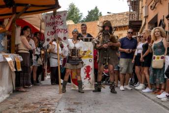 Fotogalería Feria Medieval en Ayllón 65 Mercado Medieval en Ayllón
