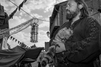 Fotogalería Feria Medieval en Ayllón 28 Mercado Medieval en Ayllón