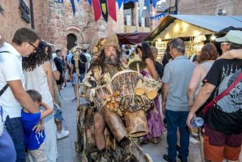 Fotogalería Feria Medieval en Ayllón 116 Mercado Medieval en Ayllón