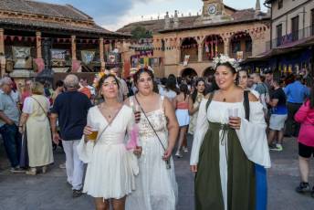 Fotogalería Feria Medieval en Ayllón 60 Mercado Medieval en Ayllón
