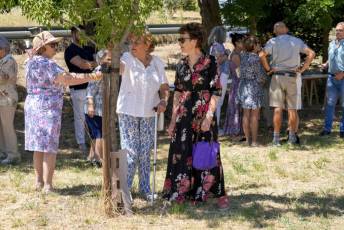 Fotogalería Fiestas en honor a Santa Marina en Mansilla 50 Misa y Procesión Santa Marina en Mansilla