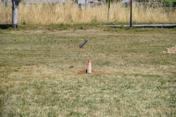 XIX Encuentro Nacional de Calva en Abades 31 XIX Encuentro Nacional de Calva en Abades
