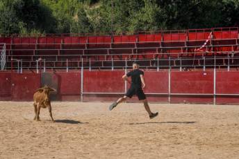 Fotogalería Encierro Diurno Fiestas Barrio San Lorenzo 15 Encierro Diurno Fiestas Barrio San Lorenzo