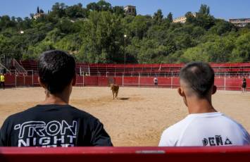 Fotogalería Encierro Diurno Fiestas Barrio San Lorenzo 39 Encierro Diurno Fiestas Barrio San Lorenzo