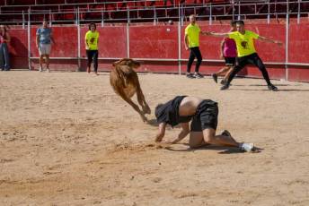 Fotogalería Encierro Diurno Fiestas Barrio San Lorenzo 34 Encierro Diurno Fiestas Barrio San Lorenzo