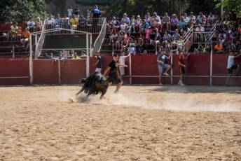 Fotogalería Encierro Diurno Fiestas Barrio San Lorenzo 12 Encierro Diurno Fiestas Barrio San Lorenzo