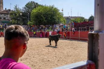 Fotogalería Encierro Diurno Fiestas Barrio San Lorenzo 31 Encierro Diurno Fiestas Barrio San Lorenzo