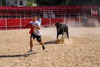 Fotogalería Encierro Diurno Fiestas Barrio San Lorenzo 16 Encierro Diurno Fiestas Barrio San Lorenzo