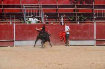 Fotogalería Encierro Diurno Fiestas Barrio San Lorenzo 22 Encierro Diurno Fiestas Barrio San Lorenzo