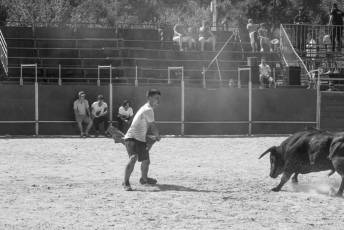 Fotogalería Encierro Diurno Fiestas Barrio San Lorenzo 41 Encierro Diurno Fiestas Barrio San Lorenzo