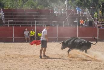 Fotogalería Encierro Diurno Fiestas Barrio San Lorenzo 21 Encierro Diurno Fiestas Barrio San Lorenzo