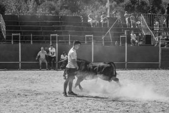 Fotogalería Encierro Diurno Fiestas Barrio San Lorenzo 42 Encierro Diurno Fiestas Barrio San Lorenzo