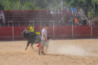 Fotogalería Encierro Diurno Fiestas Barrio San Lorenzo 14 Encierro Diurno Fiestas Barrio San Lorenzo