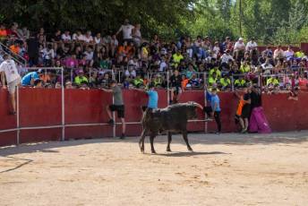 Fotogalería Encierro Diurno Fiestas Barrio San Lorenzo 33 Encierro Diurno Fiestas Barrio San Lorenzo
