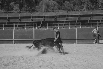 Fotogalería Encierro Diurno Fiestas Barrio San Lorenzo 35 Encierro Diurno Fiestas Barrio San Lorenzo