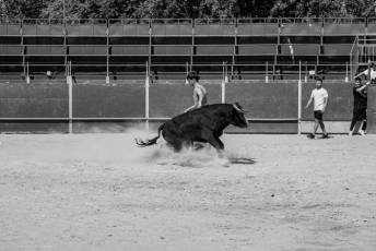 Fotogalería Encierro Diurno Fiestas Barrio San Lorenzo 4 Encierro Diurno Fiestas Barrio San Lorenzo
