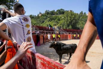 Fotogalería Encierro Diurno Fiestas Barrio San Lorenzo 28 Encierro Diurno Fiestas Barrio San Lorenzo