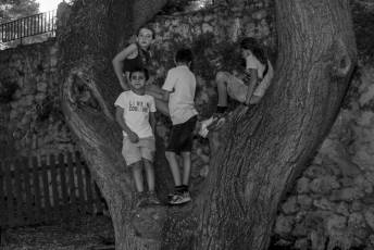 Fotogalería XXVIII Feria Medieval Cuéllar Mudéjar 32 Feria Medieval Cuellar Mudejar