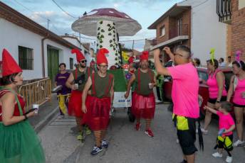 Fotogalería Desfile de Carrozas y Pregón Fiestas en Hontanares de Eresma 49 Pregón Fiestas en Hontanares de Eresma