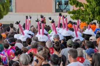 Fotogalería Pregón Fiestas y Desfile de Peñas en La Granja de San Ildefonso 55 Pregón Fiestas y Desfile de Peñas en La Granja