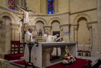 Fotogalería Procesión San Roque en Barrio San Millán 29 Procesión San Roque en Barrio San Millán