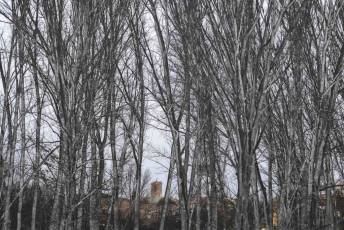 Fotogalería Feria de Turismo y Naturaleza de Castilla y León 35 Fotografía: Miguel Angel Fernández