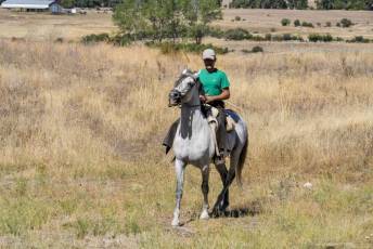 Fotogalería Entrada Portalón Cristo del Caloco en El Espinar 75 Entrada Portalón Cristo del Caloco en El Espinar