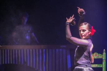 Fotogalería 20º Festival Música Diversa en Segovia 18 Fotografía: Miguel Angel Fernández