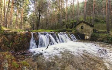 Fotogalería Feria de Turismo y Naturaleza de Castilla y León 6 timthumb.php?src=https%3A%2F%2Feladelantado.com%2Fwp content%2Fuploads%2F2024%2F09%2FLa Panera en El Espinar