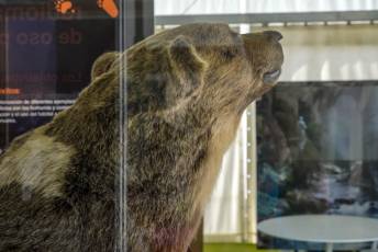 Fotogalería Feria de Turismo y Naturaleza de Castilla y León 44 Fotografía: Miguel Angel Fernández