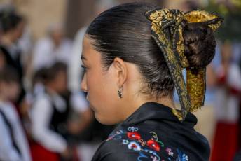 Fiestas en Honor a San Antolín en Navas de Riofrío 5 Procesión San Antolin en Navas de Riofrio