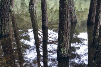 Fotogalería Feria de Turismo y Naturaleza de Castilla y León 33 Fotografía: Miguel Angel Fernández