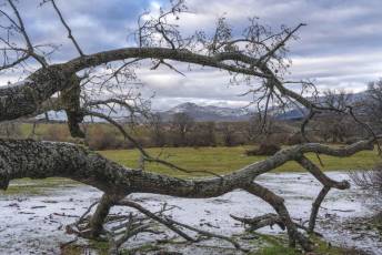 Fotogalería Feria de Turismo y Naturaleza de Castilla y León 8 Fotografía: Miguel Angel Fernández
