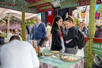 Fotogalería Actos 550 Aniversario Proclamación Isabel I de Castilla 81 Fotografía: Miguel Angel Fernández