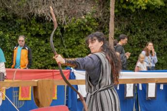 Fotogalería Actos 550 Aniversario Proclamación Isabel I de Castilla 178 Fotografía: Miguel Angel Fernández