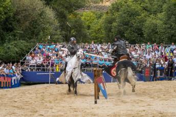 Fotogalería Actos 550 Aniversario Proclamación Isabel I de Castilla 301 Fotografía: Miguel Angel Fernández