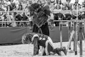 Fotogalería Actos 550 Aniversario Proclamación Isabel I de Castilla 198 Fotografía: Miguel Angel Fernández