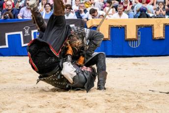 Fotogalería Actos 550 Aniversario Proclamación Isabel I de Castilla 247 Fotografía: Miguel Angel Fernández