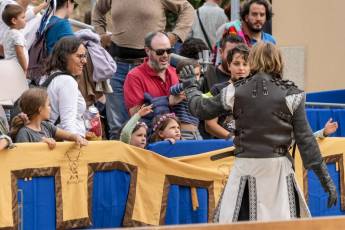 Fotogalería Actos 550 Aniversario Proclamación Isabel I de Castilla 193 Fotografía: Miguel Angel Fernández